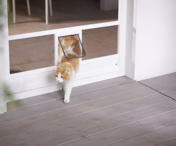 Insektengitter mit Katzenklappe