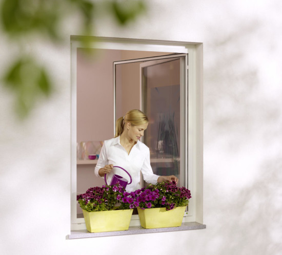 Fenster mit Insektenschutz